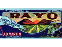 RAYO Alicante Bouschet