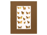 Skippers - 1951 Color Print