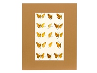 Skippers-Plate 34 - 1951 Color Print