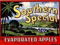 Southern Special Apples