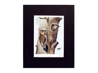 Flicker - 1901 Color Print