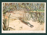 Pipefish - 1939