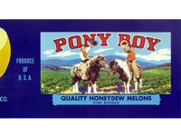 Pony Boy Melons