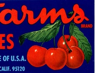Blossom Farms Cherries