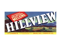 Hillview California Melons
